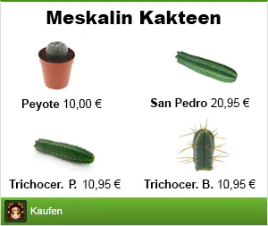 Banner meskalin kaktus kaufen im Shayana Drogen Online Shop