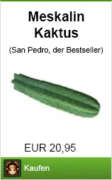 Banner meskalin kaktus kaufen