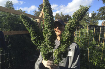 monster headbuds outdoor
