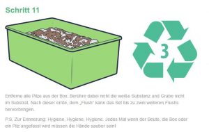mushroom growkit anleitung 12 1 300x190 1 En pocas palabras: Sí, realmente funciona, aquí puedes comprar hongos mágicos del líder del mercado europeo sin ningún problema y pedirlos discretamente a domicilio comprándolos en línea.