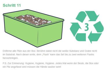 mushroom growkit anleitung 12 379x240 1 In a nutshell: Yes it really works, here at Somagarden.com you can buy magic mushrooms from the European market leader without any problems and order them discreetly home by buying them online!
