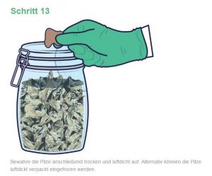 mushroom growkit anleitung 14 1 300x249 1 En pocas palabras: Sí, realmente funciona, aquí puedes comprar hongos mágicos del líder del mercado europeo sin ningún problema y pedirlos discretamente a domicilio comprándolos en línea.
