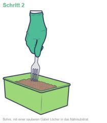 Bilder-Anleitung zur Zauberpilzzucht mittels Mushroom Growkit respektive Pilz Growbox