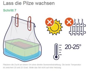 Bilder-Anleitung zur Zauberpilzzucht mittels Mushroom Growkit respektive Pilz Growbox