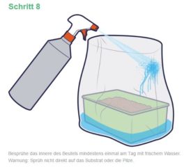 Bilder-Anleitung zur Zauberpilzzucht mittels Mushroom Growkit respektive Pilz Growbox