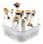 vorschaubild allgemein für mushroom growkit pilz growbox