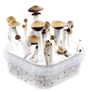 vorschaubild allgemein für mushroom growkit pilz growbox