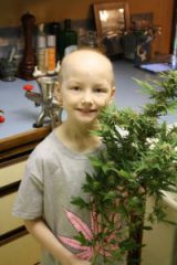 Medizinisches Cannabis für Kinder - umstritten doch erfolgreich
