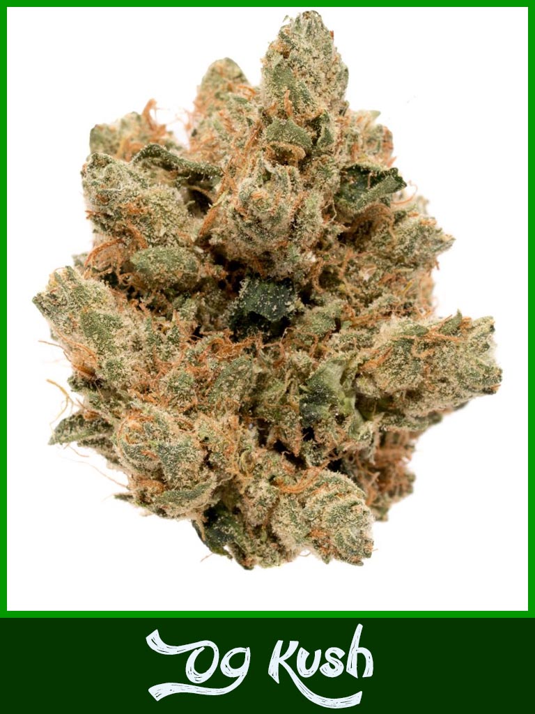 ? Gras kaufen und Cannabis online bestellen (Weed, Marihuana, Hanf) – Seriös & Sicher 35 Die Cannabissorte OG Kush in Nahaufnahme ist zu sehen