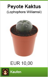 Banner peyote kaktus kaufen im Shayana Drogen Online Shop