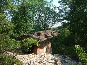 Zauberpilze – Was ist das genau und wie wirken sie? Hier steht alles Wissenswerte dazu! 22 Pilz Dolmen