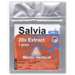 Vorschaubild Salvia divinorum kaufen extrakt 20x