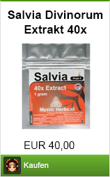 Salvia Divinorum Kaufen: Preisvergleich, Wirkung, Erfahrungen, Dosierung (Azteken Salbei Extrakt) 26 Banner salvia divinorum kaufen als 40x extrakt im Shayana Drogen Online Shop
