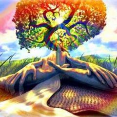 Salvia divinorum wirkung trip verbildlichung