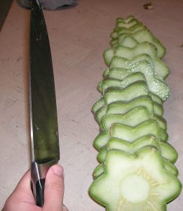 san pedro kaktus zubereitung und konsum sowie dosierung