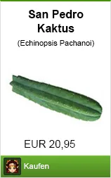 Banner san pedro kaktus kaufen im Shayana Drogen Online Shop