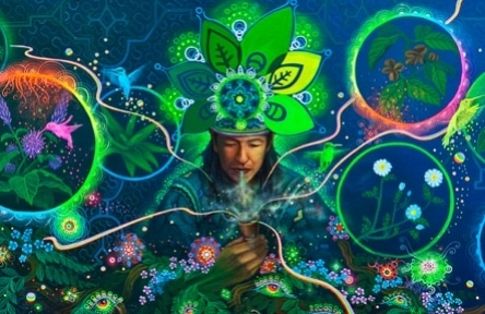 Christian Rätsch über Ayahuasca und Schamanismus 2 schamane ayahuasca