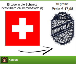 Banner weg für schweizer zauberpilze zu kaufen im Shayana Drogen Online Shop