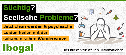 Methamphetamin-Ersatz kaufen & online bestellen + Geheimtipp zum Cleanwerden (Iboga)