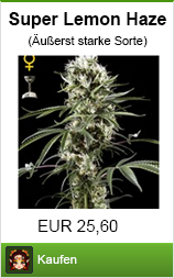 Banner hanfsamen kaufen der Sorte lemon haze im Shayana Drogen Online Shop