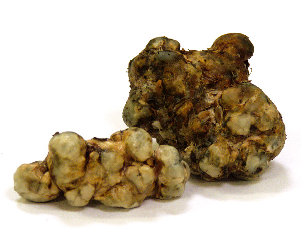 Achater des Champignons Magiques en ligne (Vente Truffes Hallucinogènes) 25 Truffes Magiques