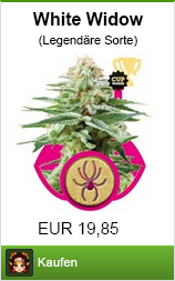 Banner hanfsamen kaufen der Sorte white widow im Shayana Drogen Online Shop