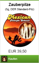 Banner zauberpilze kaufen im Shayana Drogen Online Shop