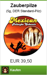 Mad Honey: Der halluzinogene Drogen-Honig aus dem Himalaya 4 Banner zauberpilze kaufen im Shayana Drogen Online Shop