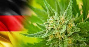image 11 Die Debatte um die Legalisierung von Cannabis in Deutschland hat in den letzten Jahren deutlich an Dynamik gewonnen, getrieben von einer weltweiten Tendenz zur Entkriminalisierung und Legalisierung dieser Substanz. Diese Entwicklung spiegelt einen tiefgreifenden Wandel in der gesellschaftlichen und politischen Haltung gegenüber Drogenpolitik wider. Es symbolisiert eine Abkehr von strikten Verbotspolitiken hin zu einem progressiveren, aufgeklärteren Umgang mit Cannabis.