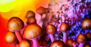 Magic Mushrooms könnten eines Tages deine dunklen Gedanken behandeln.