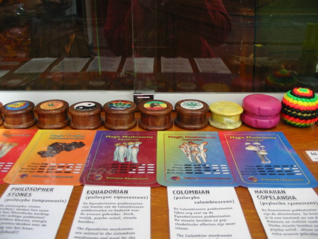 Psilocybinhaltige Pilze kaufen 8 image 3 Den Magic Mushrooms wird heute so viel Aufmerksamkeit geschenkt. Wir alle sind begierig darauf, die endlosen Vorteile zu entdecken, die sie für unsere geistige Gesundheit und unser spirituelles Leben bieten. Wissenschaftler haben herausgefunden, dass Pilze unser Leben durch spirituelles Erwachen und die Linderung psychischer Probleme wie Angst, Depression und Sucht positiv verändern können. Aber wie hat das alles angefangen? Wer hat die psilocybinhaltige Pilze entdeckt, und wie sind wir hier gelandet? Werfen wir einen kurzen Blick auf die Geschichte der Magic Mushrooms in den verschiedenen historischen Epochen.