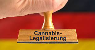Cannabis Legalisierung in Deutschland 5 image 7 Am Mittwoch hat die neue Ampelkoalition unter Bundeskanzler Olaf Scholz ihre Pläne im neuen Koalitionsvertrag für Deutschland vorgestellt. Unter dem Motto "Fortschritte wagen" stellten die Parteien ein 177-seitiges Dokument vor, das Pläne zur Einführung der kontrollierten Abgabe von Cannabis in Deutschland enthält.