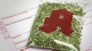 Cannabis Legalisierung in Deutschland 6 image 9 Am Mittwoch hat die neue Ampelkoalition unter Bundeskanzler Olaf Scholz ihre Pläne im neuen Koalitionsvertrag für Deutschland vorgestellt. Unter dem Motto "Fortschritte wagen" stellten die Parteien ein 177-seitiges Dokument vor, das Pläne zur Einführung der kontrollierten Abgabe von Cannabis in Deutschland enthält.