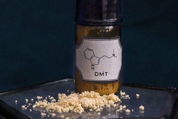 WIE MAN EIN PERFEKTES DMT AUS MIMOSA HOSTILIS HERSTELLT