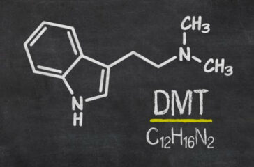 DMT-Extraktionsmethoden: Ein umfassender Leitfaden
