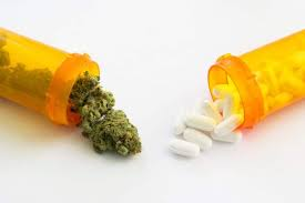 Legal Highs Shop Deutschland 10 Medizinisches Cannabis als Ersatz für Opioide