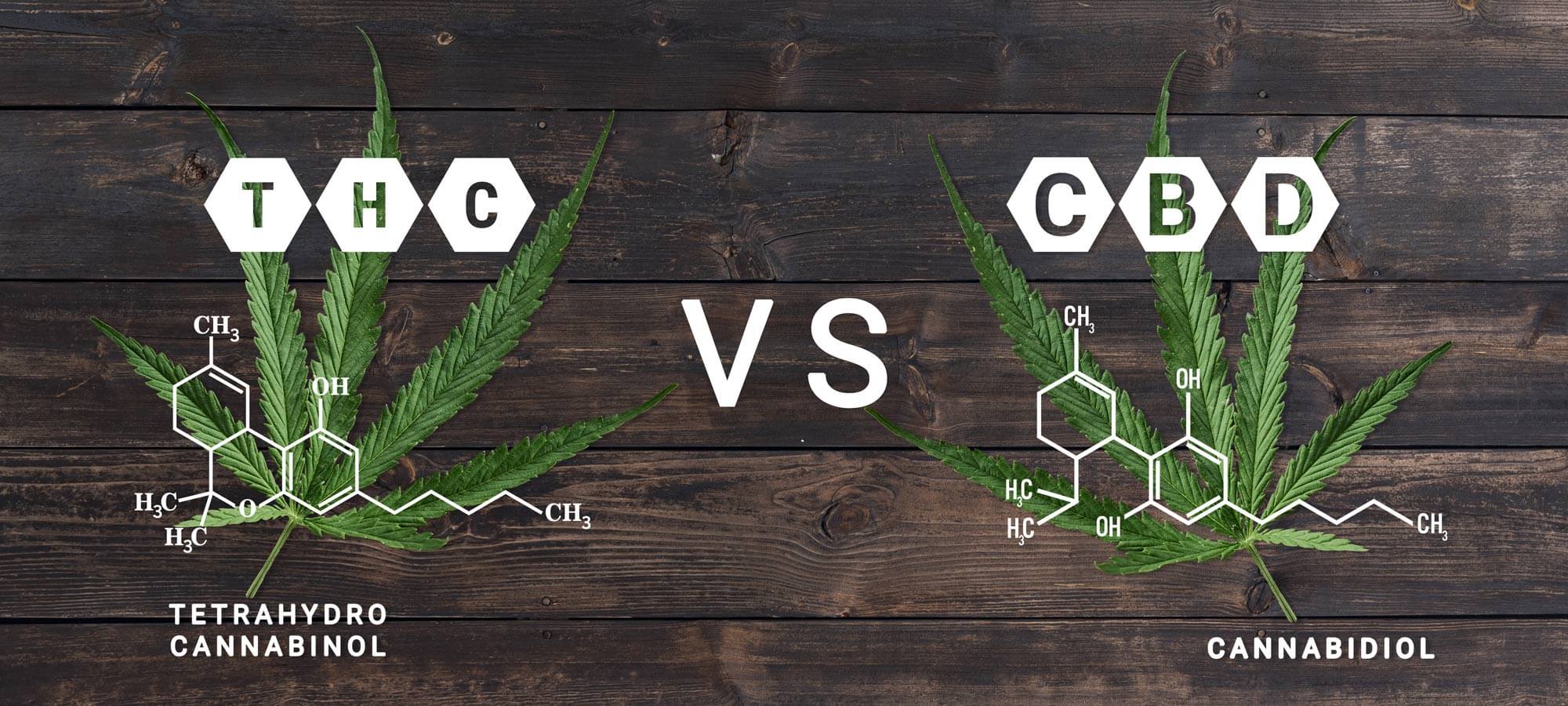 Legal Highs Shop Deutschland 8 Cannabis Ersatz Produkte legal als Kräutermischung