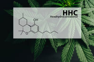 Was ist HHC cannabinoid