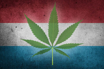 Die Grünste Revolution: Cannabis-Legalisierung in Luxemburg