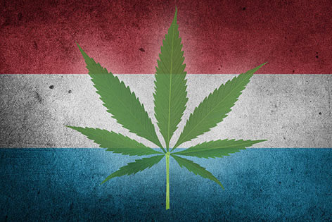 cannabis medical Entdecken Sie die Hintergründe und Auswirkungen der Cannabis-Legaliserung in Deutschland. Wie wird sich die neue Gesetzgebung auf Gesellschaft, Wirtschaft und den Schwarzmarkt auswirken? Lesen Sie jetzt mehr über Deutschlands Weg zur Cannabis-Reform.