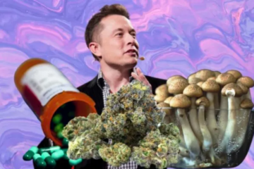 Psychedelika und Innovation: Wie Substanzen die Grenzen des Denkens erweitern