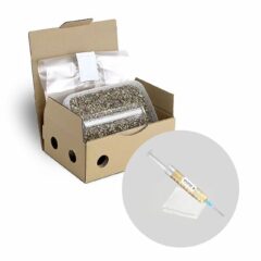 Mycotek Inject & Forget Growkit: Ein Einfaches All-in-One Growkit mit Super Seltenem Magischen Pilzstamm
