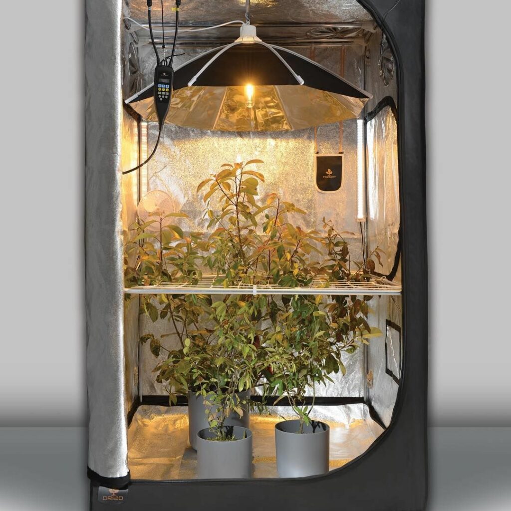 5 Revolutionäre Vorteile der Secret Jardin Growzelte für Urbane Gärtner 2 82 secret jardin In der stetig wachsenden Urbanisierung suchen immer mehr Menschen nach Wegen, die Natur zurück in ihr Leben zu bringen. Urban Gardening, die Kunst des Gärtnerns in städtischen Umgebungen, bietet eine wunderbare Möglichkeit, diesem Bedürfnis nachzukommen. Eine Schlüsselrolle spielen dabei die Growzelte von Secret Jardin, die als Pioniere in der Welt des Indoor-Gardening gelten. Ihre innovativen Lösungen ermöglichen es, auch in der kleinsten Stadtwohnung eine üppige grüne Oase zu schaffen. In diesem Artikel beleuchten wir fünf revolutionäre Vorteile der Secret Jardin Growzelte, die sie zu einem unverzichtbaren Werkzeug für urbane Gärtner machen.