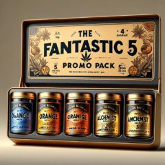 Das "Fantastic 5 Promo Pack" von Dutch Blends!