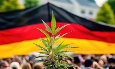 Cannabis-Legalisierung in Deutschland: Rückblick und Ausblick – Stand Februar 2025