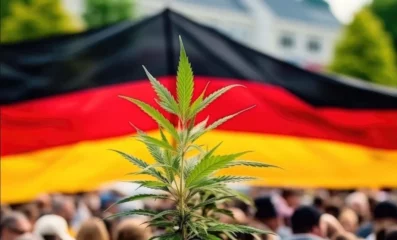 THCX: Die legale Revolution auf dem Cannabinoid-Markt – Der ultimative Nachfolger für 10-OH-HHC