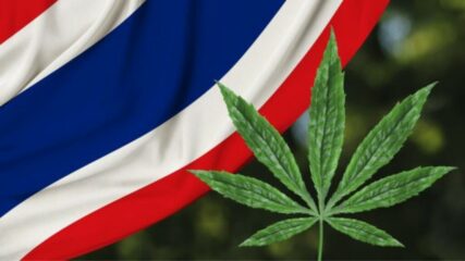Die Legalisierung von Cannabis in Thailand: Ein Rückblick und aktuelle Entwicklungen