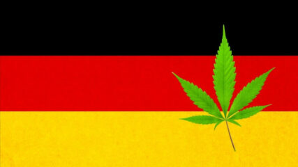 Growshop.net: Der beste Growshop für Deutschland