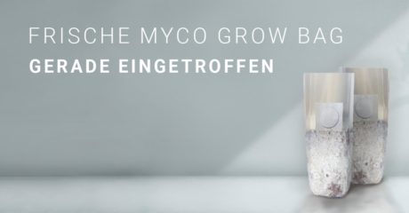 Myco Grow Bag von Mycotek: Die neue Generation der Pilzzucht – besser als Mycobag