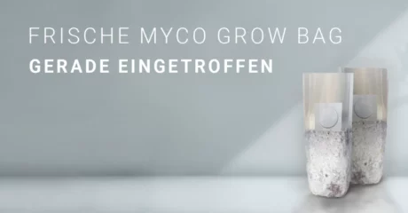 Myco Grow Bag von Mycotek: Die neue Generation der Pilzzucht – besser als Mycobag